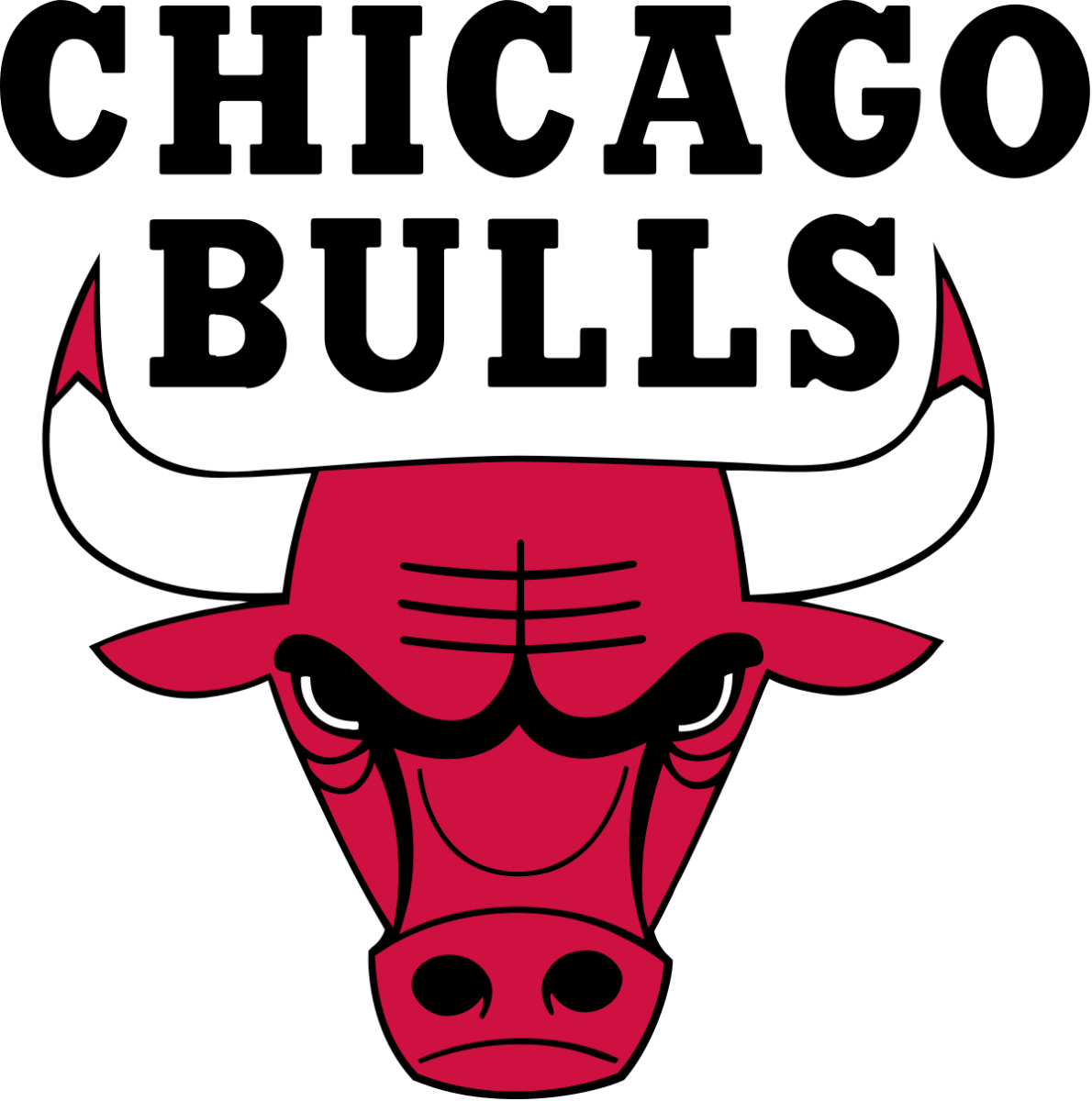 CHICAGO BULLS - Prime Reps