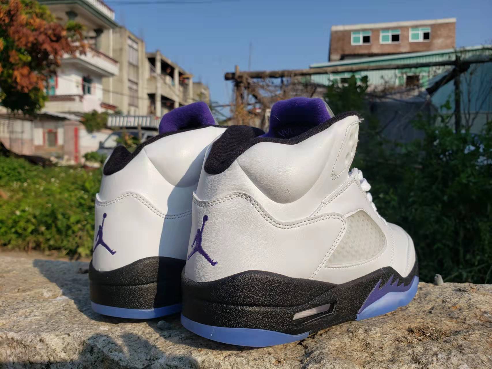 Air Jordan 5 "Concord"