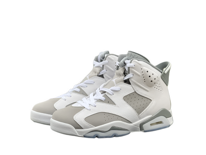 Jordan 6 Cool Grey