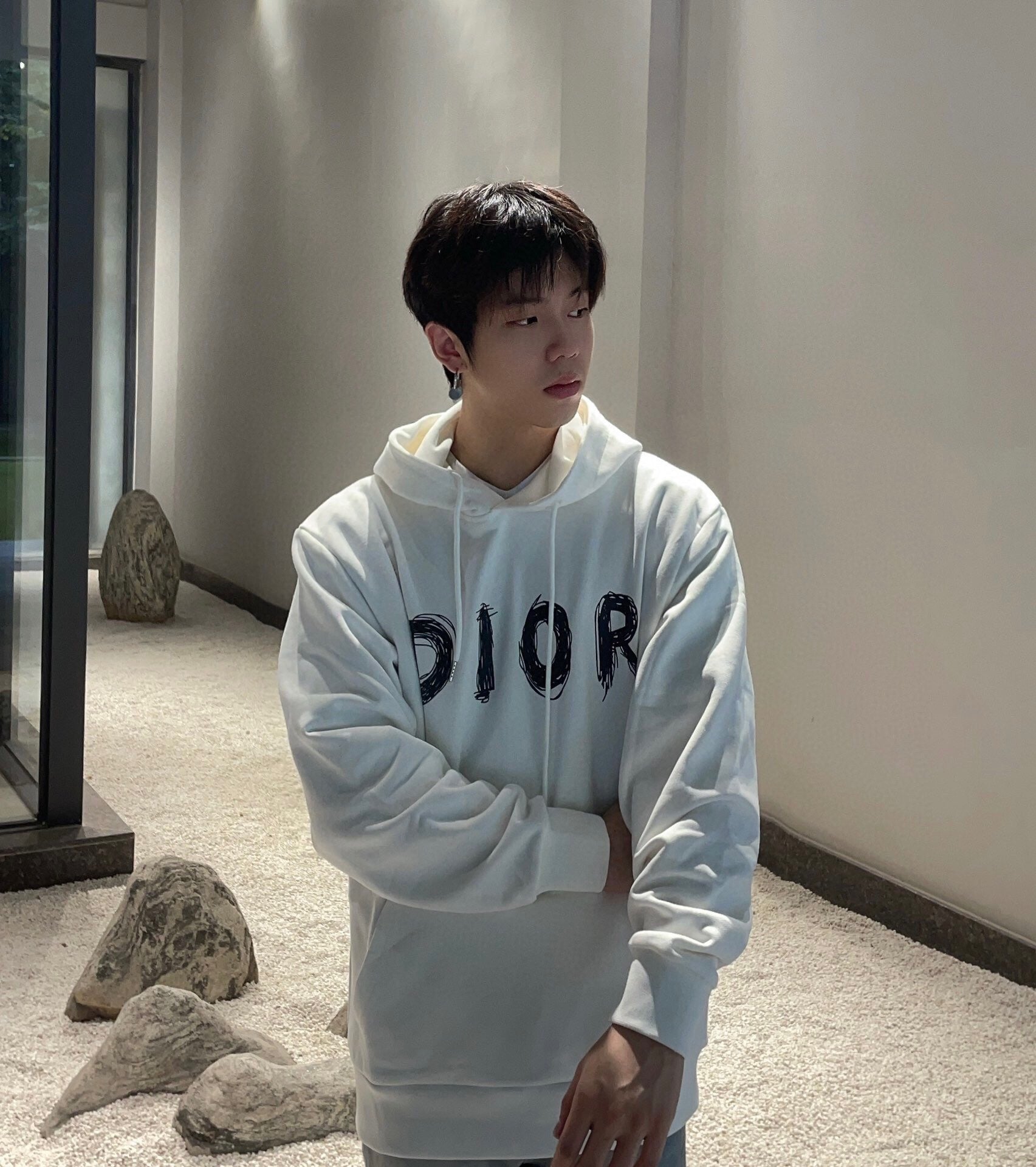 Dior Brushstroke Hoodie