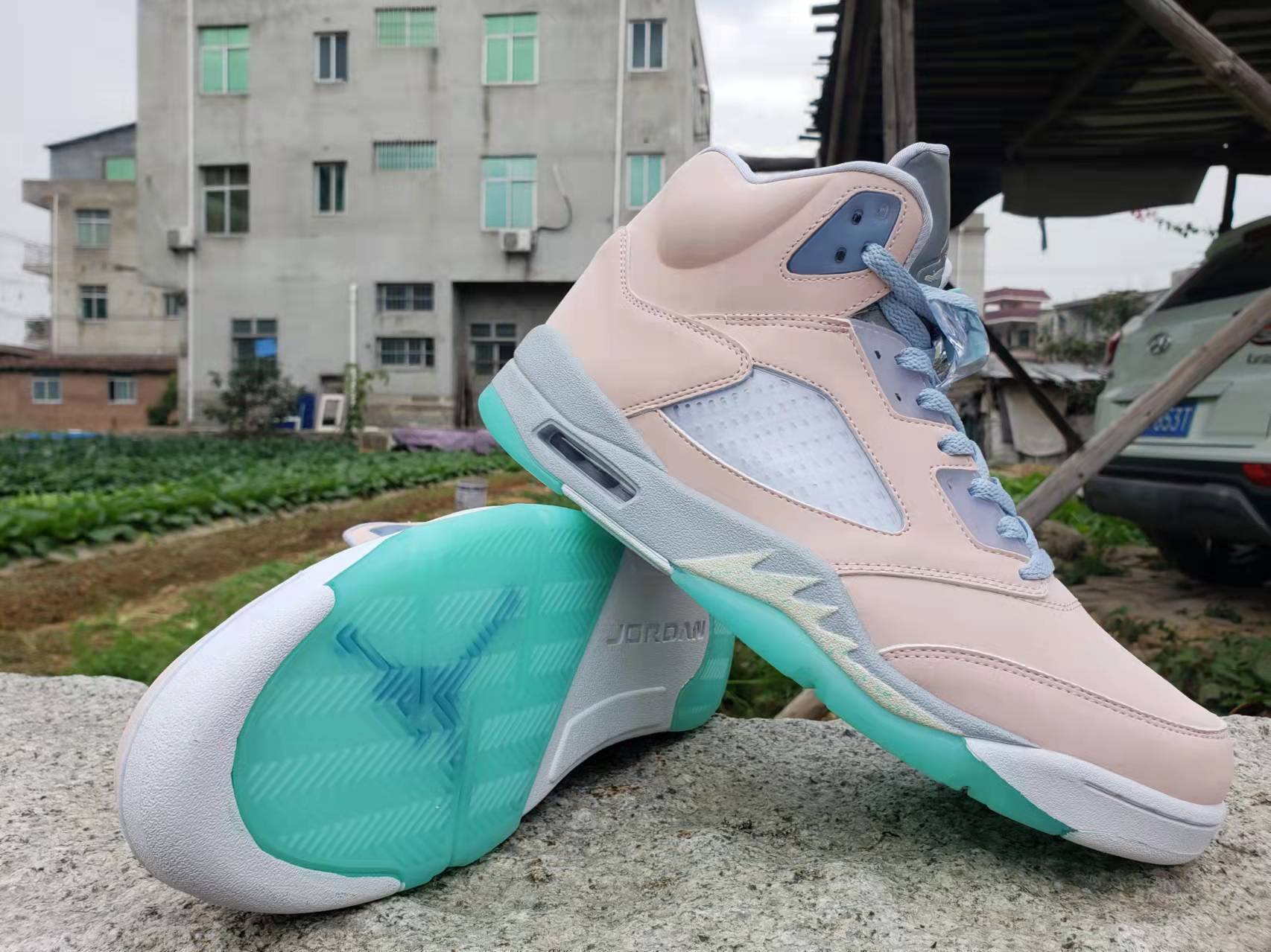 Air Jordan 5 "Moonlight"