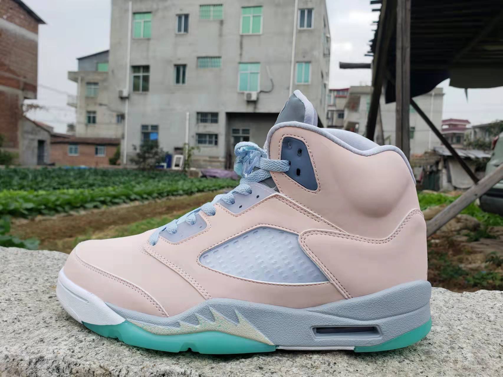 Air Jordan 5 "Moonlight"