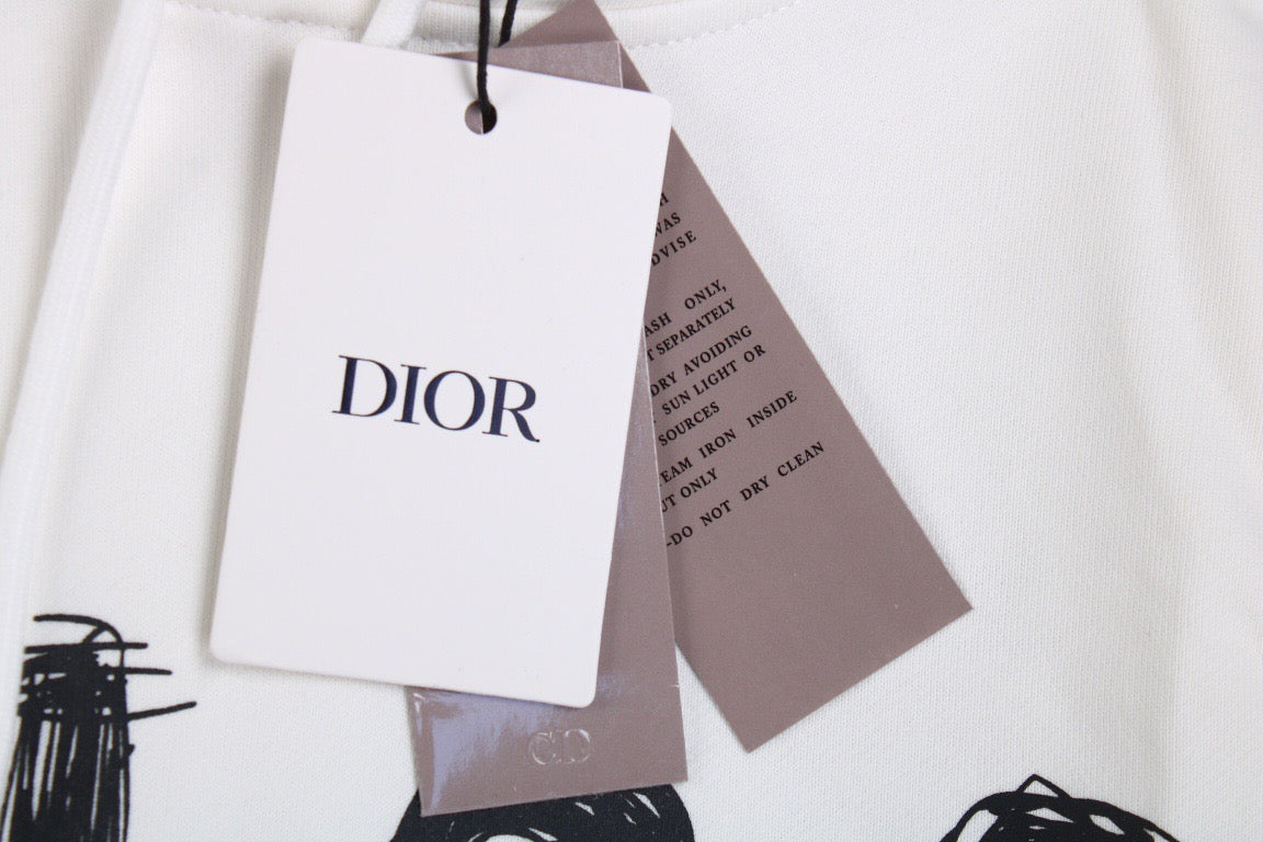 Dior Brushstroke Hoodie