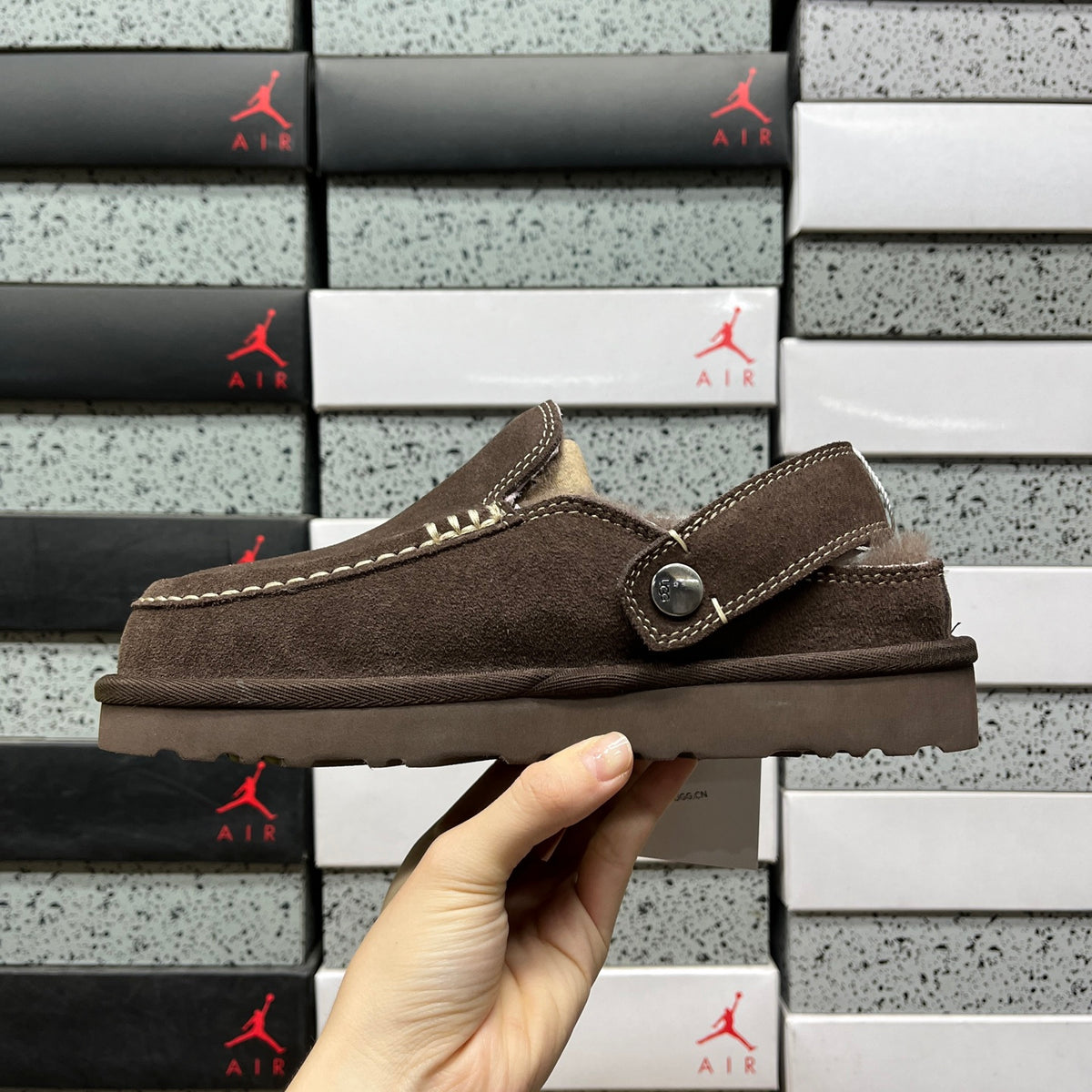 UGG Goldenstar Hi Clog in Cocoa
