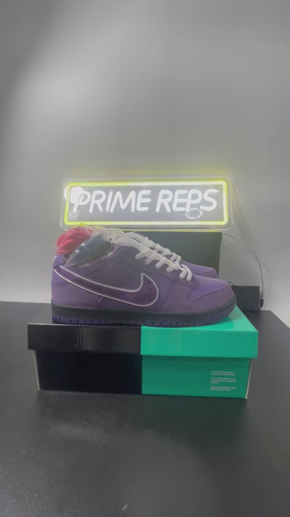 NIKE SB DUNK x CONCEPTS PURPLE LOBSTER