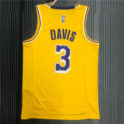 ANTHONY DAVIS LOS ANGELES LAKERS ICON JERSEY - Prime Reps