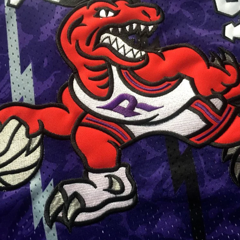 Toronto Raptors Dinosaur Play Basketball We The North t-shirt by