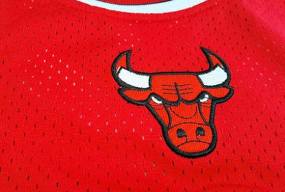 DERRICK ROSE CHICAGO BULLS THROWBACK JERSEY - Prime Reps