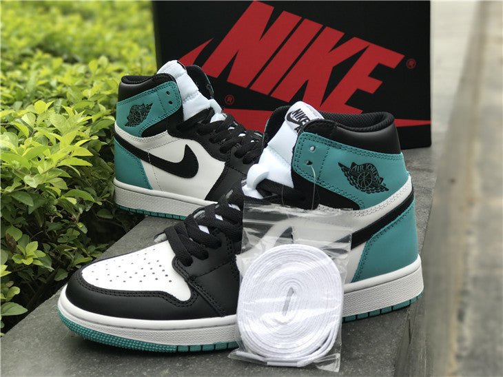 Air jordan 1 on sale igloo