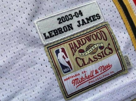 LEBRON JAMES CLEVELAND CAVALIERS THROWBACK JERSEY - Prime Reps