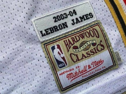 LEBRON JAMES CLEVELAND CAVALIERS THROWBACK JERSEY - Prime Reps