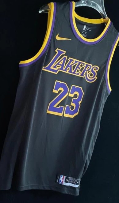 LEBRON JAMES LOS ANGELES LAKERS 2020-21 EARNED EDITION JERSEY - Prime Reps