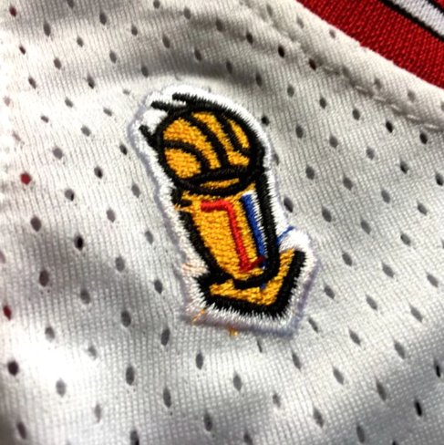 MICHAEL JORDAN CHICAGO BULLS TROPHY THROWBACK JERSEY - Prime Reps