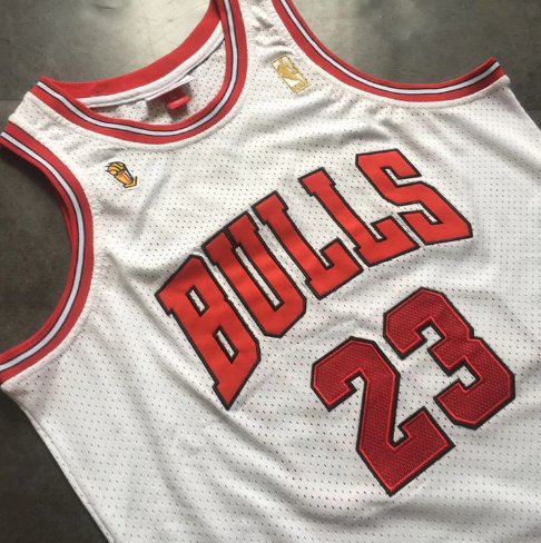 MICHAEL JORDAN CHICAGO BULLS TROPHY THROWBACK JERSEY - Prime Reps