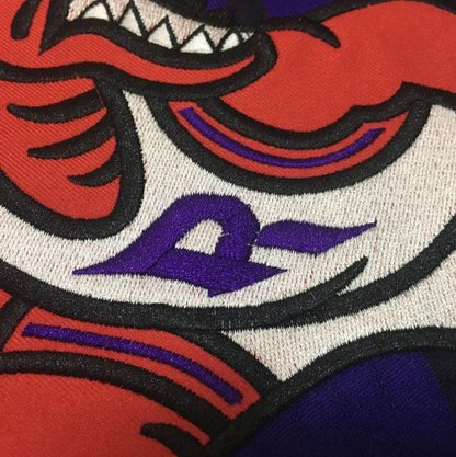 VINCE CARTER TORONTO RAPTORS THROWBACK JERSEY - Prime Reps